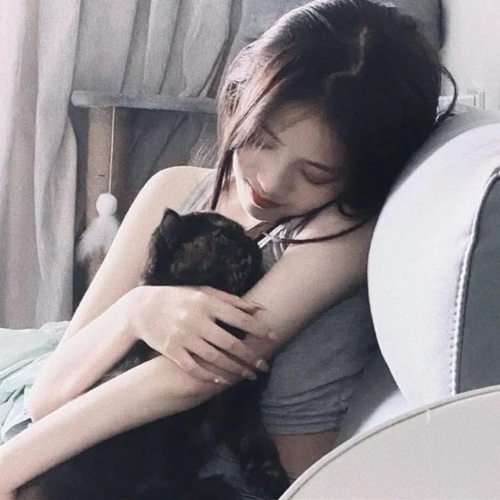 乱马1/2第二季